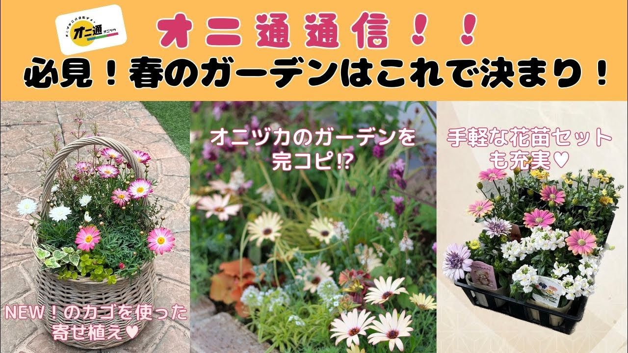 庭 158号 猿州の庭特集 雪舟庭園 （島根県益田市） 中部の庭園特集「庭～THE GARDEN」