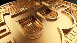 Crypto Logo Opener | After Effects project | Videohive template