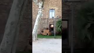 Rest. can cortada barcelona -