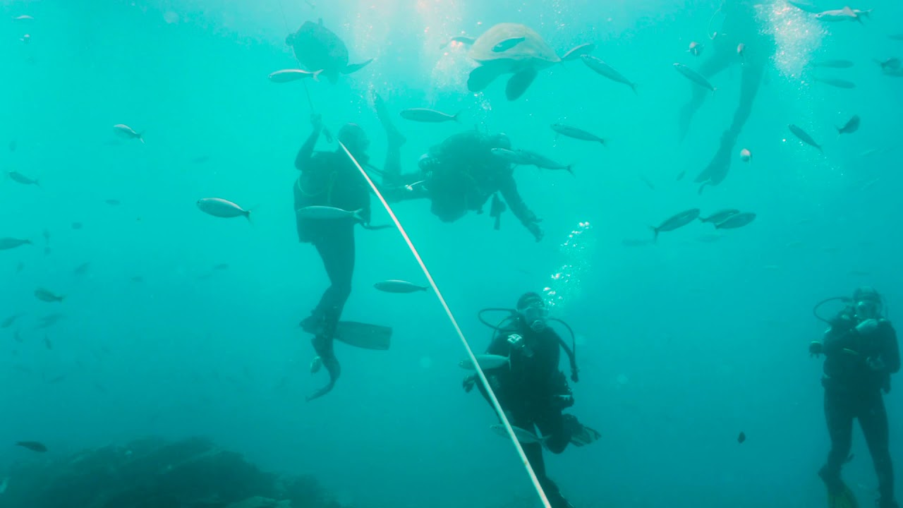 Navatics MITO Exploring Old Shipwrecks