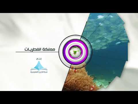 ماهي النباتات والفطريات