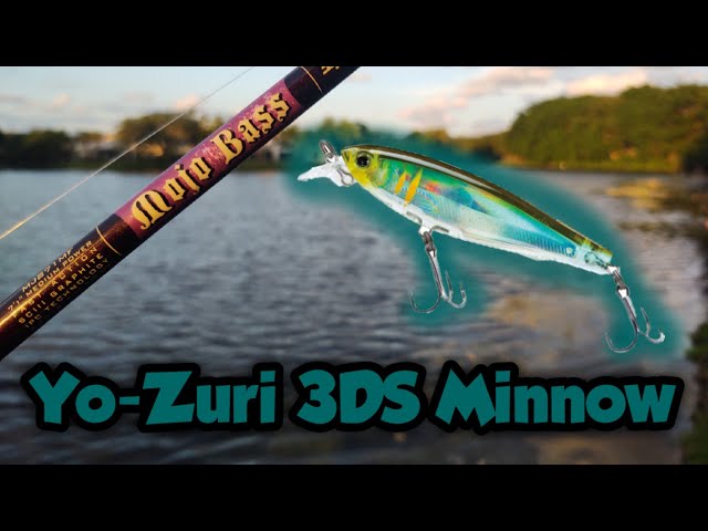 Fishing with the Yo-Zuri 3DS Minnow - YouTube