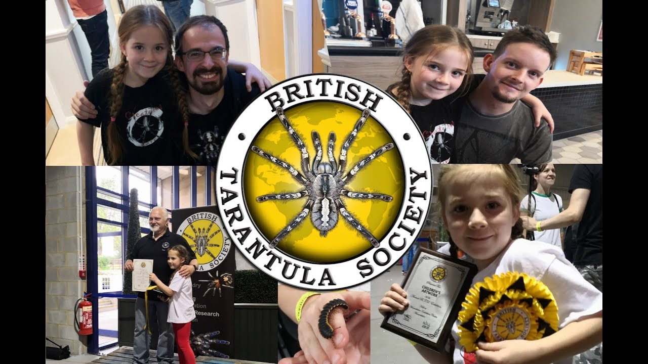 BTS 2019 - British Tarantula Society