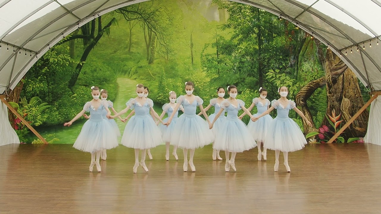 Waltz Swan Lake