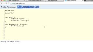 golang func params