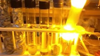 Sodium Metal In Concentrated Sulfuric Acid