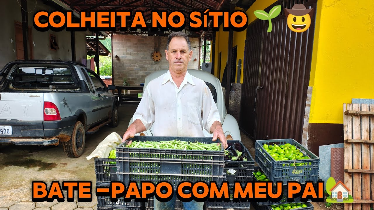 🌱🙏🏻BATE-PAPO com meu pai, volta ao sítio e início da PINTURA da CASApor fora🏡🤠