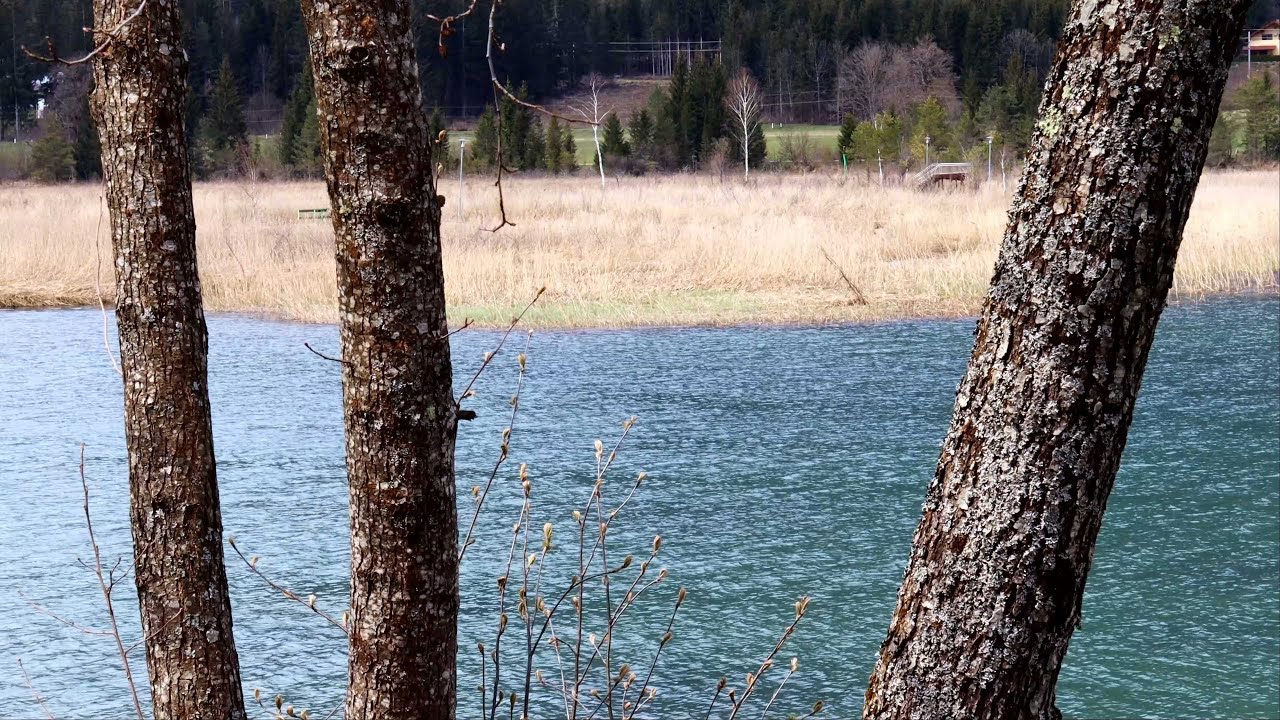 Lake Pressegg Slow Trail