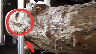 Bu Ağaç 10 Yıl Önce Kesildiği Için Bu Ahşabı Çok Kuru Hale Getiriyor.