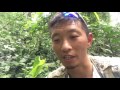 熱血阿傑❤️生態-有曬斑的擬葉螽-馬上飛走Pseudophyllidae