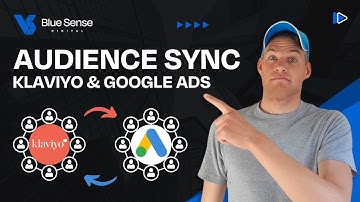 Google Ads / Klaviyo Integration & Audience Sync Setup