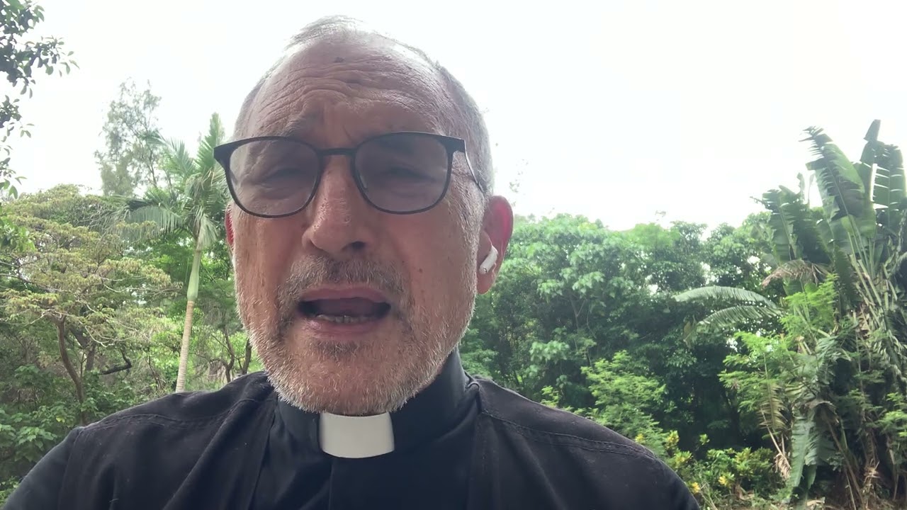 + RIPORTIAMO L'AIUTO DI UN AMICO: DOMENICA 3/5/2026 Commento al Vangelo di Padre Bernardo Cervellera (PIME) +