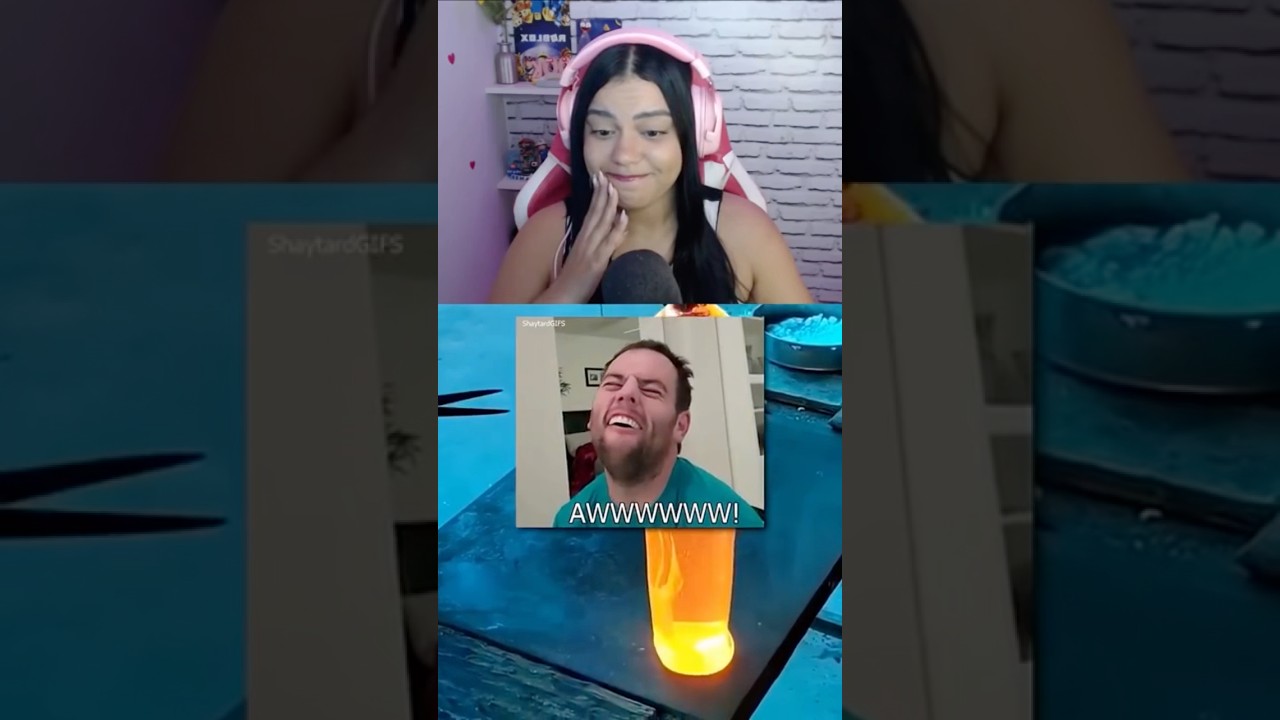 Tente não achar fofo 😊