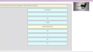 Scaling Networks (Version 5.0) - Examen chapitre 9