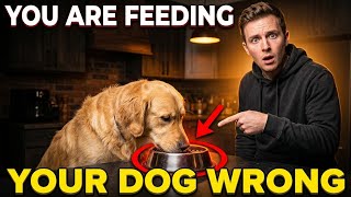 YOU ARE FEEDING YOUR DOG WRONG AND IT IS SLOWLY DESTROYING THEIR HEALTH