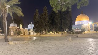 “Jerusalem Awakens to Fajr | Adhan from Masjid Al Aqsa”