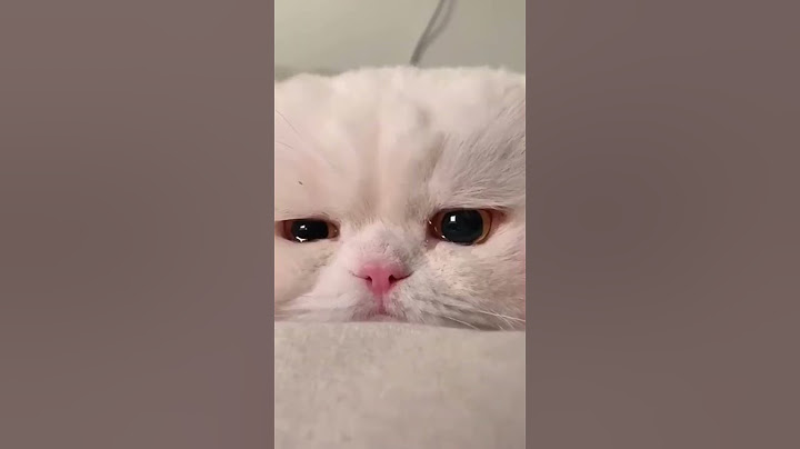 Грустные котики 😿😿😿😿#грусть #котики #слезы