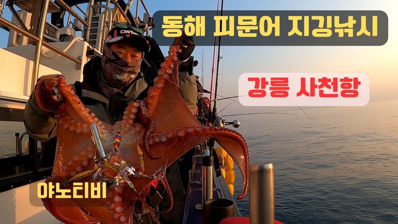 동해안 피문어 지깅낚시 강릉 사천항