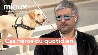 Guide dogs, assistance dogs: the everyday heroes changing lives - Handi et alors ?