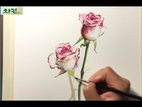 Watercolor painting demonstration of <strong>roses</strong> flowers 장미 꽃 두 송이 수채화 채색 시연
