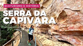 Serra da Capivara, Piauí: pinturas rupestres e ecoturismo | vida sem paredes