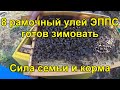 8 рамочный улей ЭППС готов зимовать