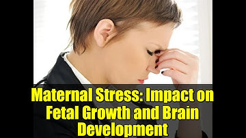 Maternal Stress: Impact on Fetal Growth and Brain Development