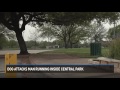 Dog attacks man running inside Central Park