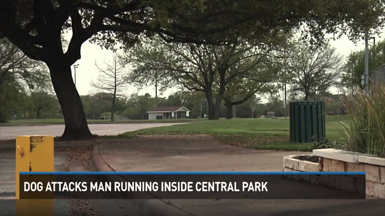 Dog attacks man running inside Central Park