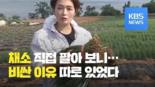 [탐사K] 기자가 직접 쪽파 출하해 보니..."채소값 비싼 이유 따로 있었다" / KBS뉴스(News)