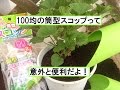 【園芸用品レビュー】　筒型スコップのススメ