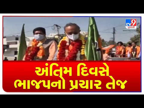 Vadodara: BJP holds grand road show ahead of model code of conduct implementation | TV9News