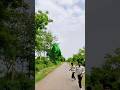 Big Dinosaur Chase T-rex chasing part-38#dinosaur#youtube#dinosaurs#youtubeshorts#shorts