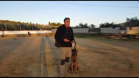 La tecnica perfecta. Busqueda de explosivos.