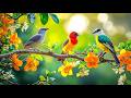 Melt Away Stress With Birdsong And Piano Nature S Healing Frequency 