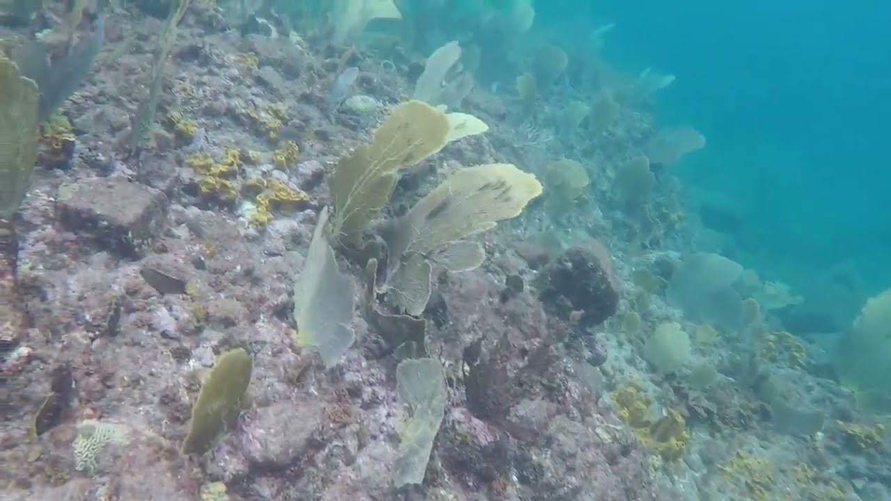 St Lucia Ti Kaye part1