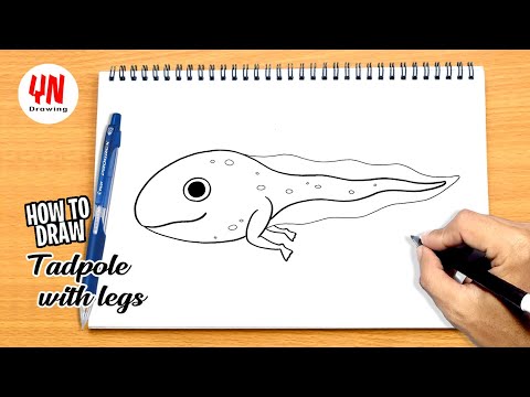 How to draw Tadpole with Legs Easy 