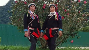 Bà vinh bác mê hát tại đám cưới thôn bản tùm xã Yên Cường BM & , Hát Dao Tẩn Mìn