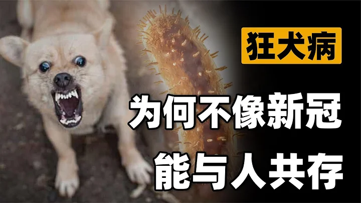 新冠病毒3年变弱，为何同源的狂犬病毒过了上千年，依然那么毒？ - 天天要闻