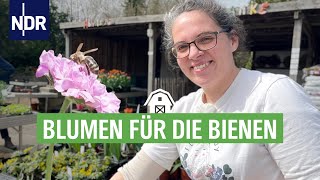 Blumen für die Bienen | Die Nordreportage | NDR