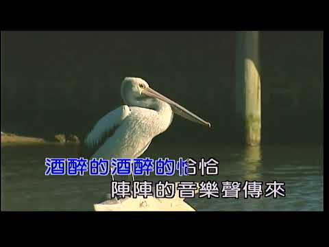 酒醉的恰恰~王識賢~男Em調~伴奏導唱~金嗓