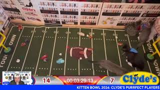 Kitten Bowl 2024: Clyde's Purrrect Players vs. Cellino Furballers