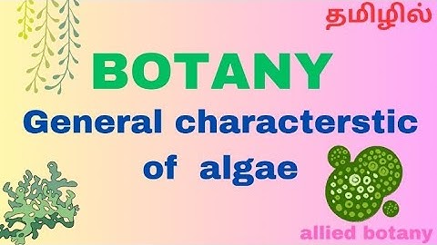 general characters of algae In tamil /1st year allied botany in tamil/ #algae/ algae in tamil #bsc