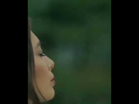 وداعآ قلبي الطيب