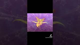 Winx Club Magic Winx To Believix