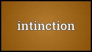 Intinction Meaning
