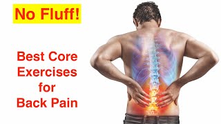 Best Core Exercises for Back Pain by Milton Chiropractic Clinic Cambridge 16,125 views 1 year ago 10 minutes, 9 seconds