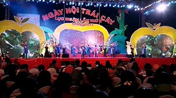 Ngày hội trái cây huyện lục ngạn lần thứ 2 năm 2017