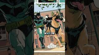 Batman Helps A Deaf Kid Find His Dog