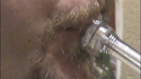 Brass Embouchures Chapter 2 of 6